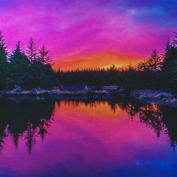 Printing in Juneau Alaska Alaska Litho