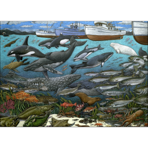 North Pacific Marine Life