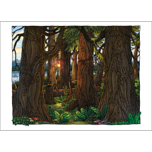 Salmon Forest