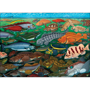 Fishes of the Salish Sea