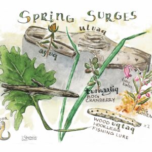Springtime Treasures – Set of 6 Nunalleq Art Cards